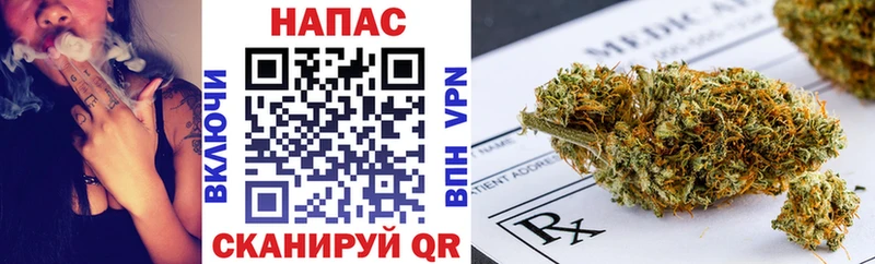 Где продают наркотики Шилка Псилоцибиновые грибы  Канабис  Меф  ГАШИШ  COCAIN  A PVP 